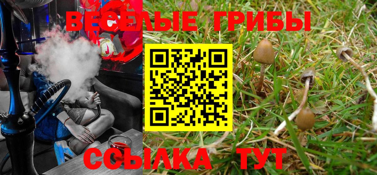 Киров  Псилоцибиновые грибы Psilocybe  Галлюциногенные грибы GOLDEN TEACHER  Вход с VPN 
